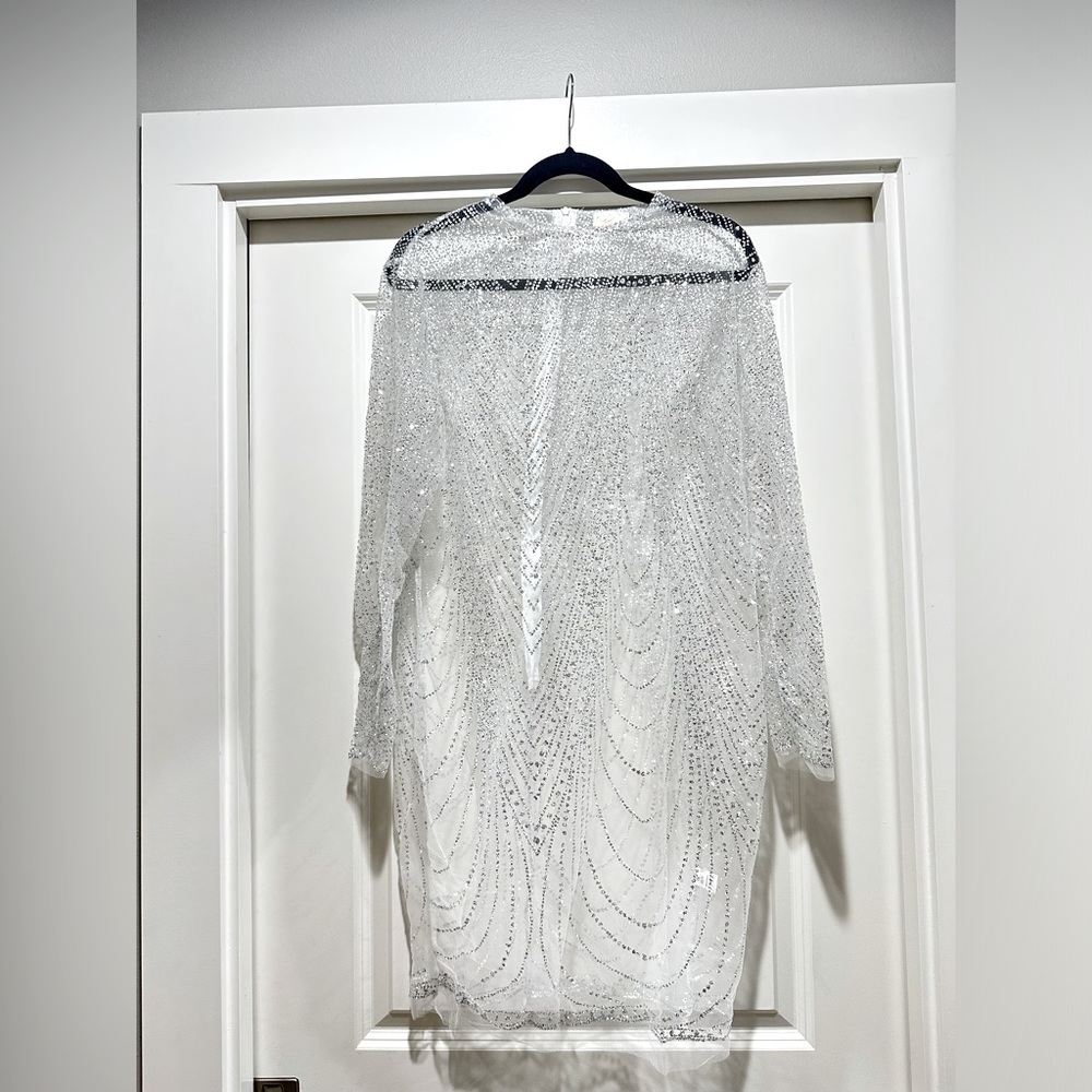 Photoshoot Sheer Glitter Dress